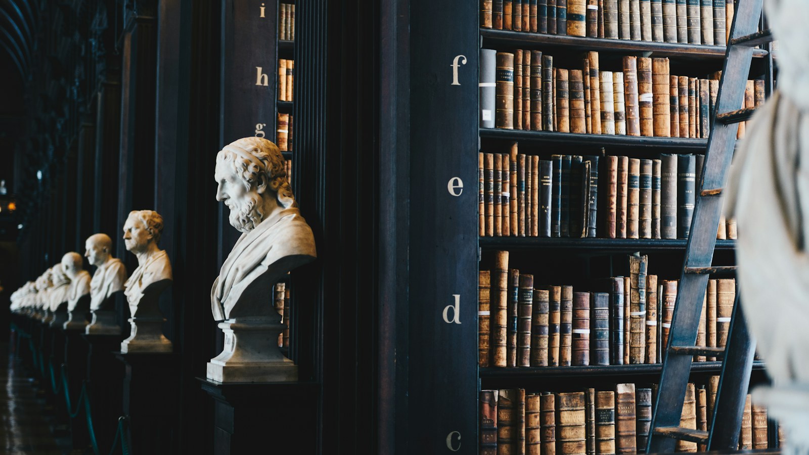 Rows of old leather-bound books on dark library shelves